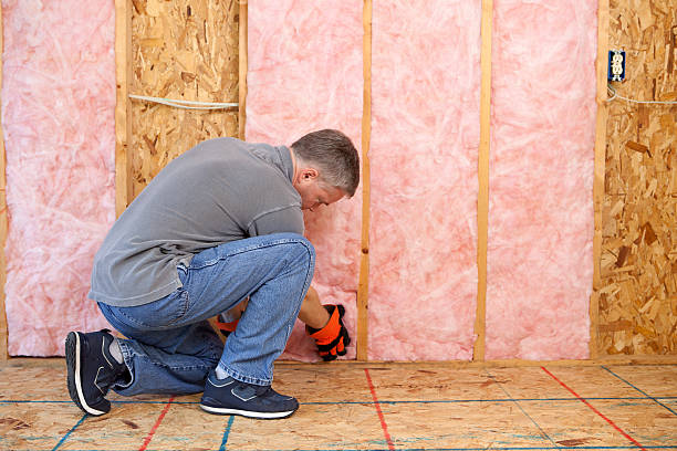 Best DIY Insulation Kits and Guidance in Marshallville, GA